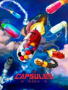 Проект капсул 2